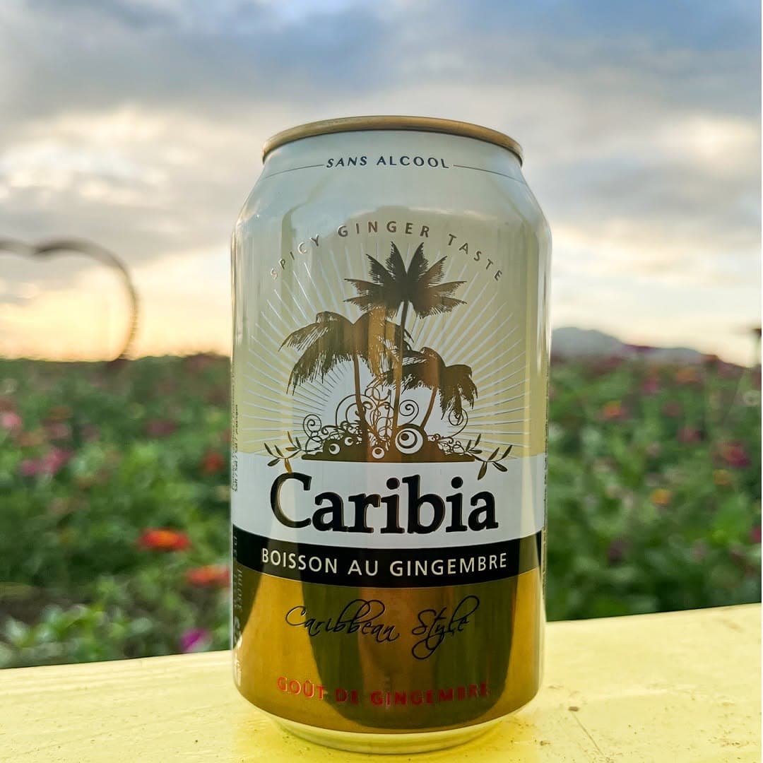 JENGIBRE CARIBIA Unds